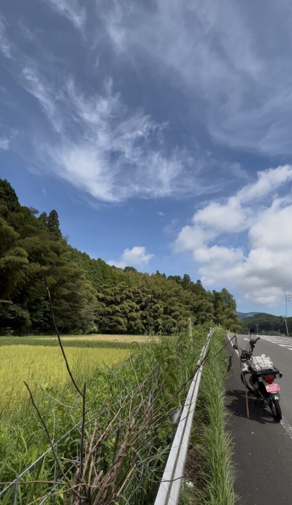 ハム&ソーセージ工房イブスキ